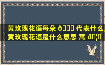 黄玫瑰花语每朵 🍁 代表什么,黄玫瑰花语是什么意思 寓 🦟 意